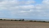 Trail Walking Port-des-Barques - Île Madame - Photo 4