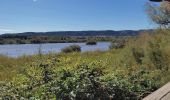 Tour Wandern Châteauneuf-les-Martigues - Étang de Bolmont  - Photo 1