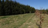 Trail Walking Léglise - Ebly - La Claire Fagne - Photo 1