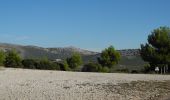 Tocht Stappen Cassis - XX-Cassis-Les Calanques-Miou-Pin-En Vau - Photo 2