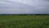 Trail Mountain bike Saint-Clément - Sortie vtt 09062019 Buriville Hablainville Glonville - Photo 5