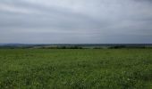 Excursión Bici de montaña Saint-Clément - Sortie vtt 09062019 Buriville Hablainville Glonville - Photo 5