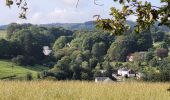 Tocht Stappen Houffalize - rando engreux 14-09-2024 - Photo 5