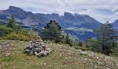 Excursión Senderismo Le Dévoluy - Pierre Baudinard - Photo 5