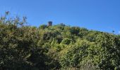 Tocht Stappen Vernet-les-Bains - Tour de Goa - Vernet les Bains -Pyrénées Orientales - Photo 6