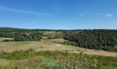 Excursión Senderismo Les Salces - la boucle du loup - Photo 6