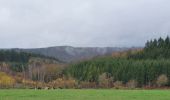 Excursión Senderismo Bouillon - rando rochehaut 19/11/2020 - Photo 20