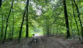 Tour Wandern Étalle - Etalle - cani-balade - Photo 14