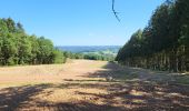Trail Walking Trois-Ponts - logbierme 060824 - Photo 10