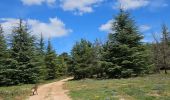 Trail Walking Signes - Plateau d'Agnis en partant de La Marseillaise - Photo 15