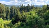 Percorso A piedi Waakirchen - Wanderweg R 6 - Bayrische Voralpen - Photo 1