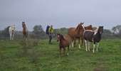 Trail Walking Marigny - Séjour Le Jura Et5 Marigny - Voiteur - Photo 7