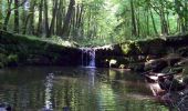 Tocht Te voet Březová - [Ž] Točník - Veliz - Točník - okružní - Photo 3