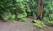 Tour Wandern Bourg-Saint-Maurice - Eau potable SÉEZ - Photo 10