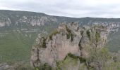 Trail Walking Massegros Causses Gorges - La Bourgarie et les gorges du Tarn - Photo 4