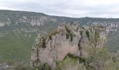 Excursión Senderismo Massegros Causses Gorges - La Bourgarie et les gorges du Tarn - Photo 4