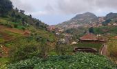 Randonnée Marche Ribeira Brava - Levada Boa Morte - Photo 6