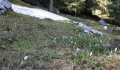 Tocht Stappen Arâches-la-Frasse - Les Carroz l'Arbaron en boucle - Photo 7