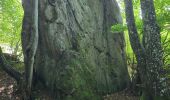 Randonnée Marche Nogent-le-Bernard - Nogent-le-Bernard - Menhir de Courtevrais - Photo 18