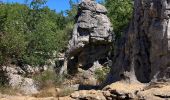 Tour Wandern Berrias-et-Casteljau - Le bois de Païolive - Photo 2