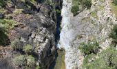 Tour Wandern Minerve - Gorges de Minerve  - Photo 5