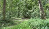 Trail Walking Villers-Cotterêts - en forêt de Retz_87_la Laie des Masures par la Route Chrétiennette - Photo 12