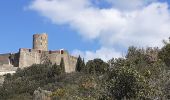 Percorso A piedi Collioure - Collioure 7,6 km 340 m D+ - Photo 1