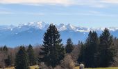 Trail Walking Collonges-sous-Salève - SALEVE - Photo 10