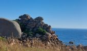 Randonnée Marche Perros-Guirec - LE SENTIER DES DOUANIERS  - Photo 2