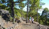 Tour Wandern El Paso - Wikiloc - La Palma: Cumbre Vieja Vulkaanroute half - Photo 13