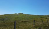 Tour Wandern Albepierre-Bredons - Le Plomb du Cantal depuis Prat-De-Bouc - Photo 2