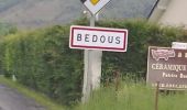 Excursión A pie Bedous - Chemins du Gave asp12 - Photo 6