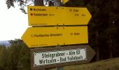 Trail On foot Fischbachau - Steingrabner - Alm - Wirtsalm - Bad Feilnbach - Photo 4