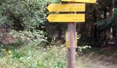 Trail Walking La Bastide-Puylaurent - Etape 5 Bastide Puy Laurent/ le Bleymard - Photo 2