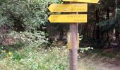 Tocht Stappen La Bastide-Puylaurent - Etape 5 Bastide Puy Laurent/ le Bleymard - Photo 2