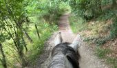 Tour Reiten Neufchâteau - Bois d’Ospot depuis les pompiers - Photo 10