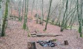 Tocht Stappen La Roche-en-Ardenne - Nisramont-Tibewez-Barrage - Photo 4