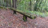 Trail Walking Aywaille - dieupart . embleve . thier bosset . kin . henoumont . vieux jardin . dieupart  - Photo 3