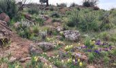 Tour Wandern Le Cannet-des-Maures - lac des escarcets - Photo 16