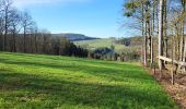 Tour Wandern Hohenfels - Cetturu 060224 - Photo 5