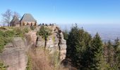 Trail Walking Ottrott - Mont Sainte-Odile - Tour du mur Païen - Photo 6