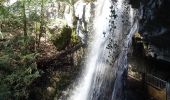 Tour Wandern Talloires-Montmin - Angon-2021-03-28 - Photo 3