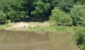 Tour Wandern Méré - Méré Montfort l'Amaury-St. Léger en Yvelines  - Photo 9