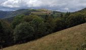 Trail Walking Soultz-Haut-Rhin - 01-08-23 Tour Vosges J1: Grand Ballon - Markstein - Photo 6