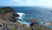 Randonnée Marche La Trinité - Martinique pointe de la caravelle - Photo 3