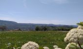 Tocht Stappen Saint-Chély-d'Aubrac - Compostelle St chely St come d'olt - Photo 2