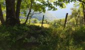 Tocht Stappen Cauterets - cauterets Cabaliros Sireix  - Photo 14