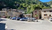 Tocht Stappen Gorges du Tarn Causses - Saint Chely 17 km - Photo 1