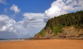 Tocht Te voet Colunga - Senda costera Arenal de Morís - Playa de La Griega - Photo 10