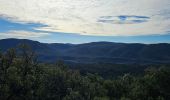 Tour Wandern Méounes-lès-Montrieux - Gouffre de Signoret - Méounes - Photo 8